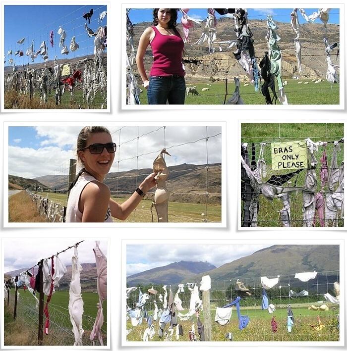 Obrázek The Cardrona Bra Fence of New Zealand