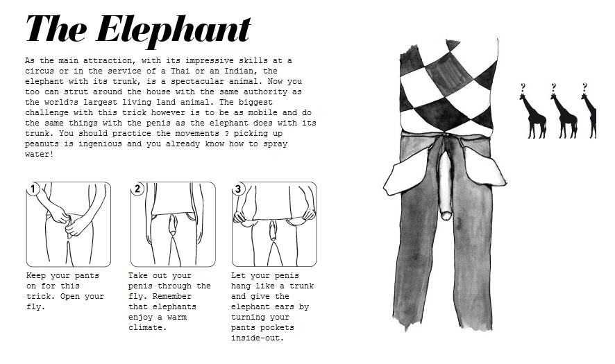 Obrázek The Elephant