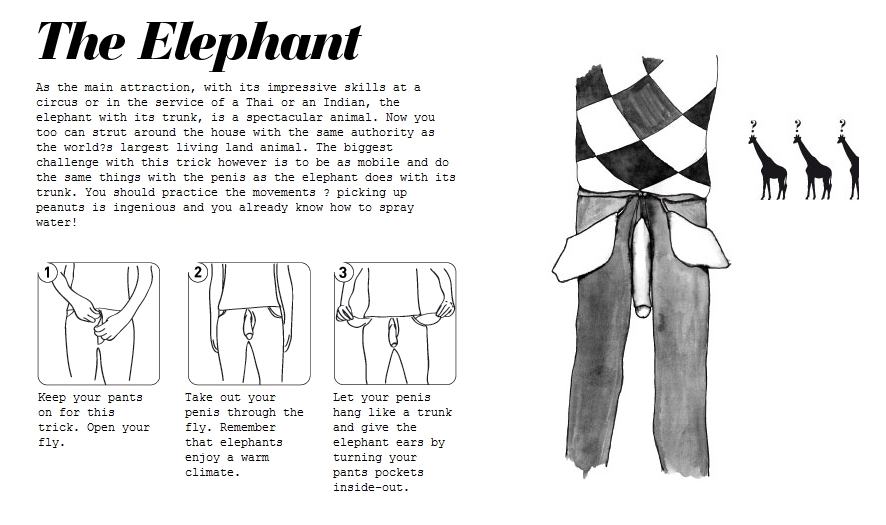 Obrázek The Elephant