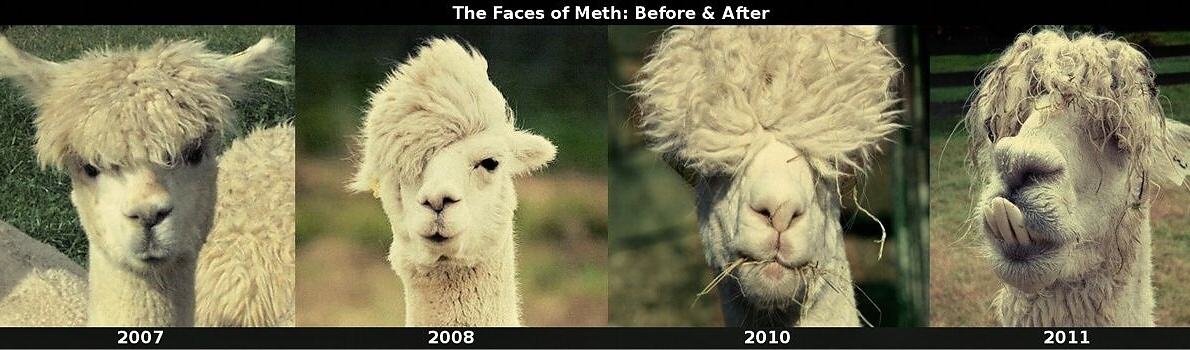 Obrázek The Faces of Meth - Before and After