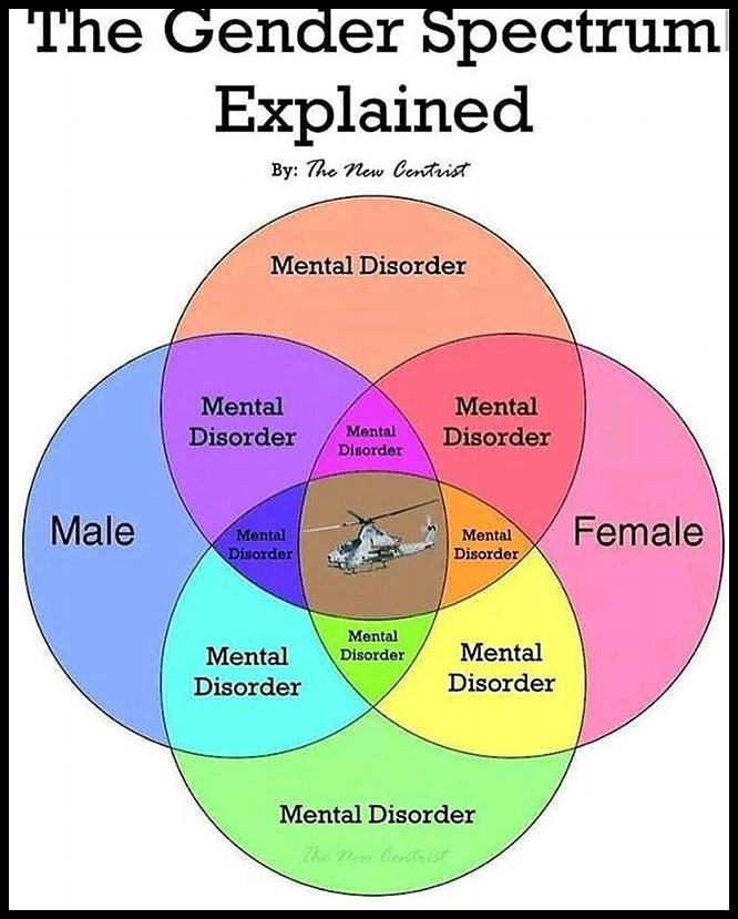 Obrázek The Gender Spectrum Explained