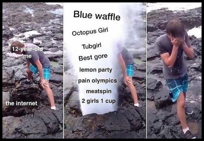 Obrázek The Internet Vs 12 Year Old ME