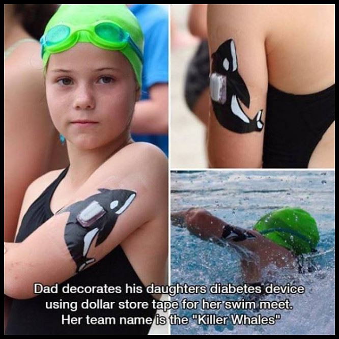 Obrázek The Killer Whales