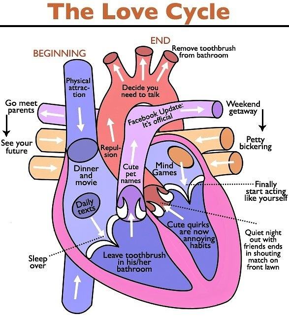 Obrázek The Love Cycle 21-01-2012