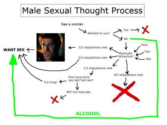 Obrázek The Male Sexual Thought Process