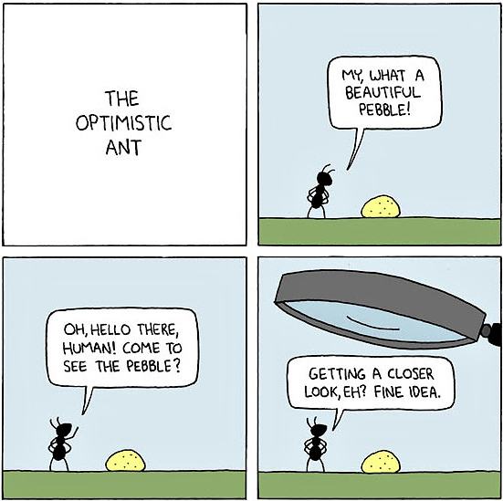 Obrázek The Optimistic Ant - 23-04-2012