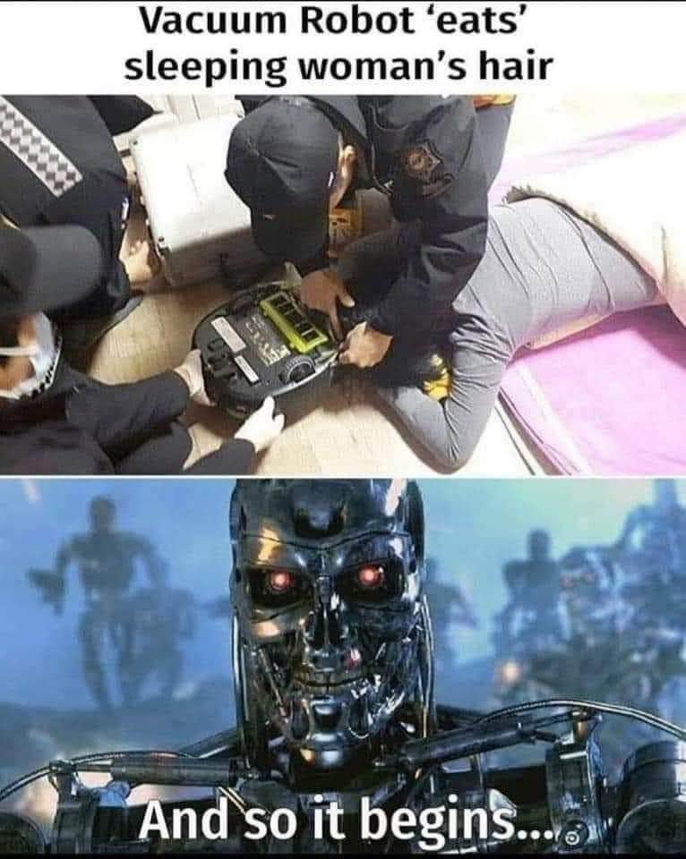 Obrázek The Terminate Hair