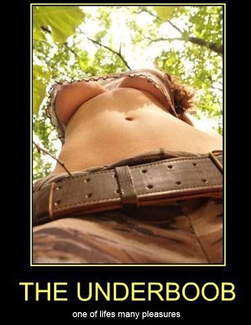 Obrázek The Underboob
