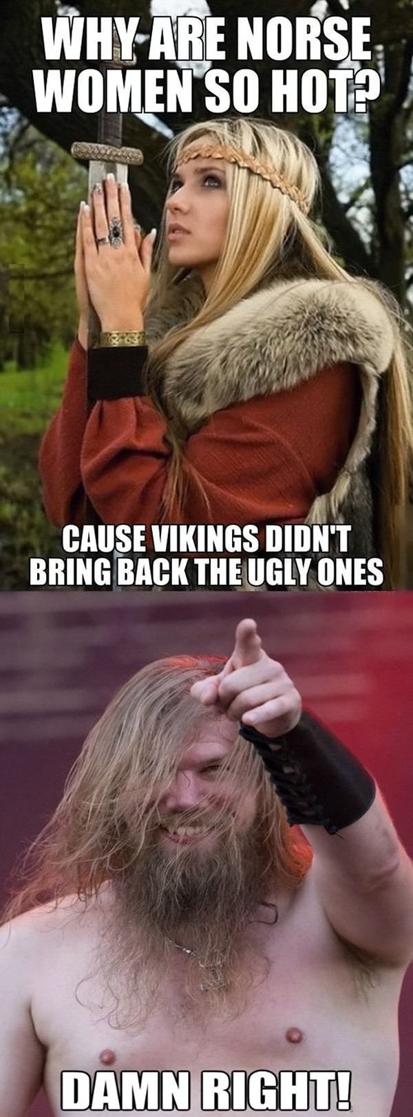 Obrázek The Vikings.  