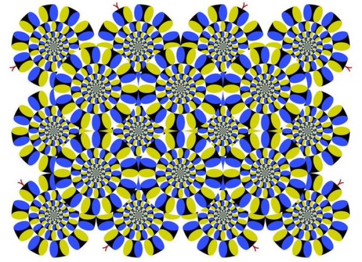 Obrázek The  27Rotating Snakes 27 optical illusion was created by Akiyoshi Kitaoka