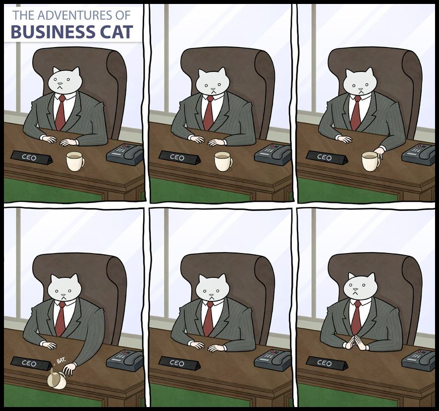 Obrázek The adventures of business cat