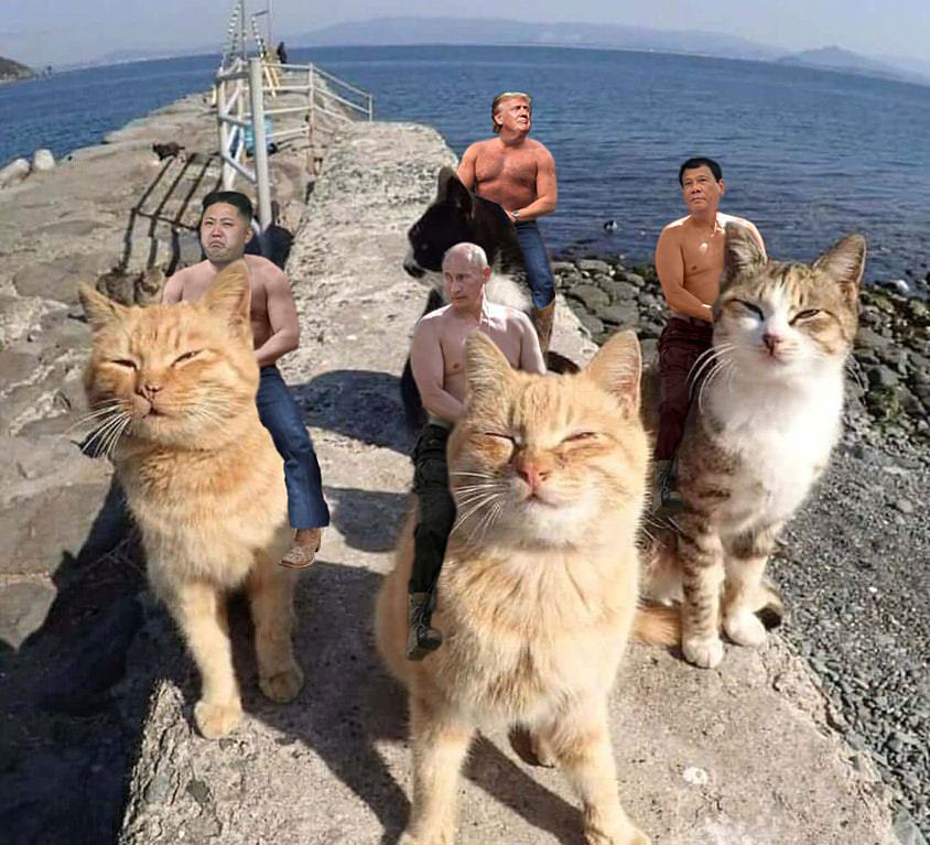 Obrázek The apawcalypse