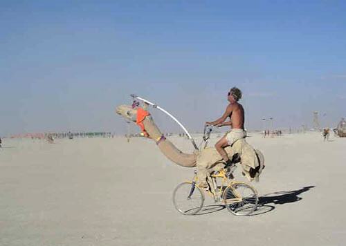Obrázek The bike is a camel - Why bike becomes camel