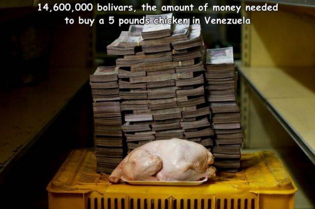 Obrázek The cost of a chicken in Venezuela