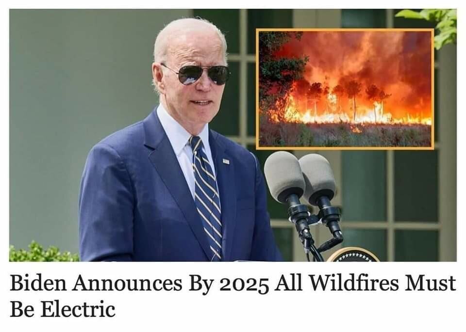 Obrázek The eco-illogical president