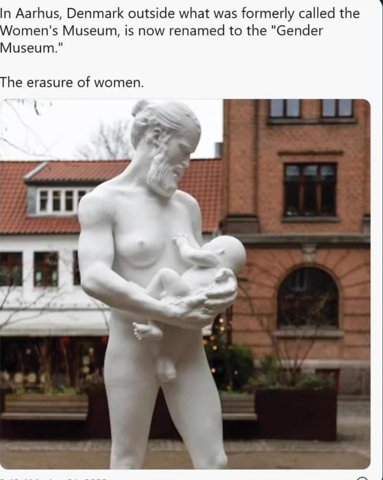 Obrázek The erasure of women