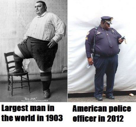 Obrázek The evolution of obesity in the US