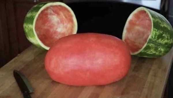 Obrázek The hatching of a watermelon