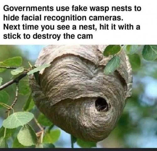 Obrázek The&nbsp;latest&nbsp;buzz