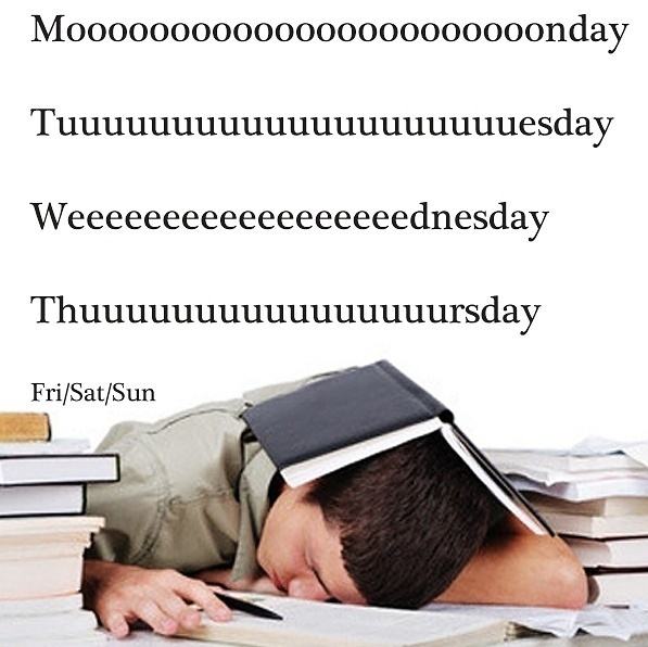 Obrázek The length of week days