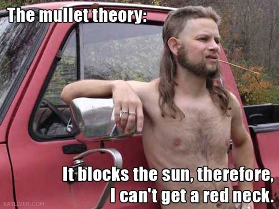 Obrázek The mullet theory