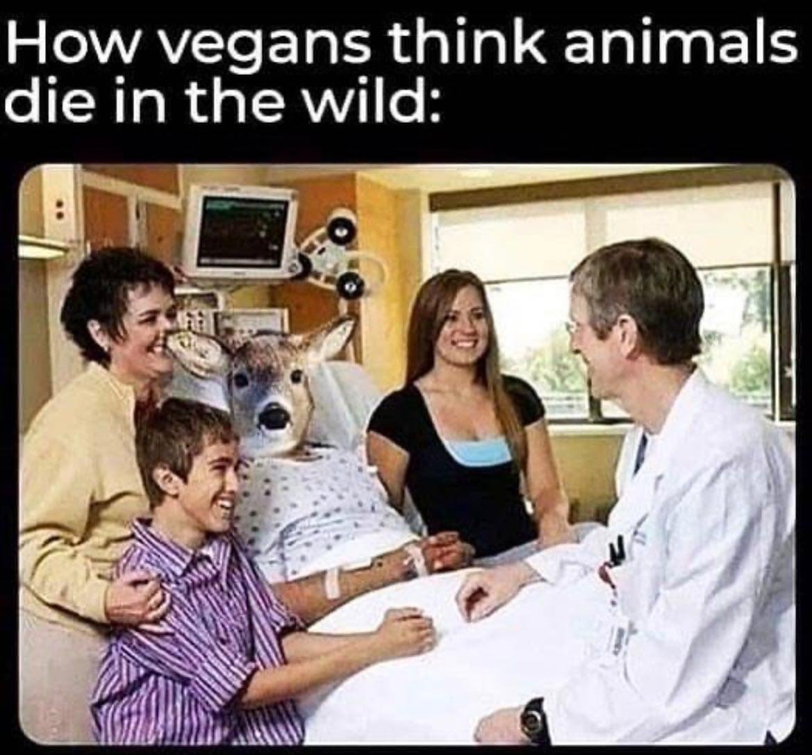 Obrázek The vegan viewpoint