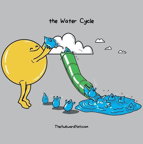 Obrázek The water cycle