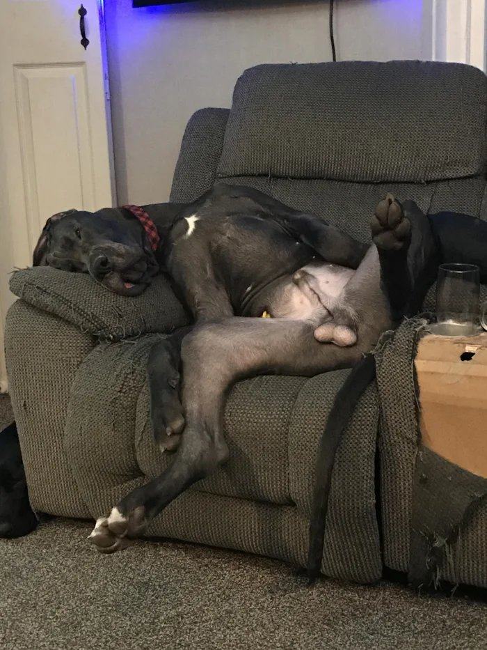 Obrázek There-is-so-much-wrong-with-him