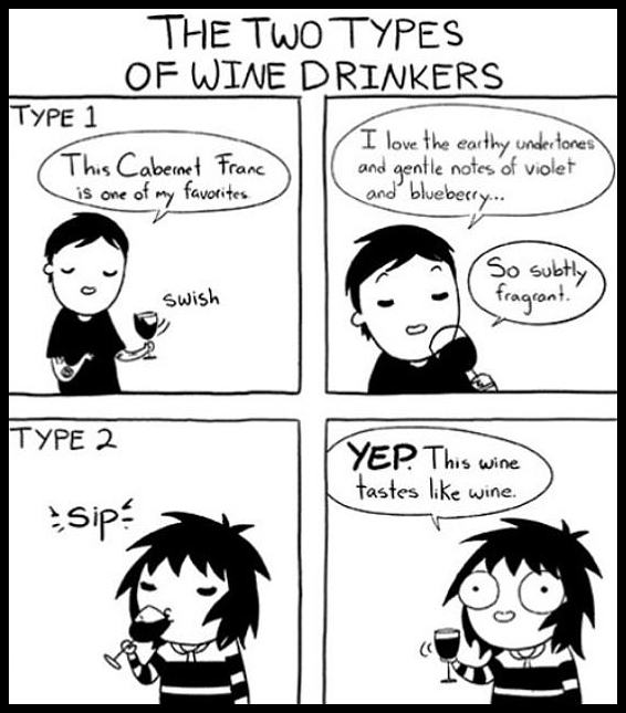 Obrázek There Are 2 Types Of Wine Drinkers