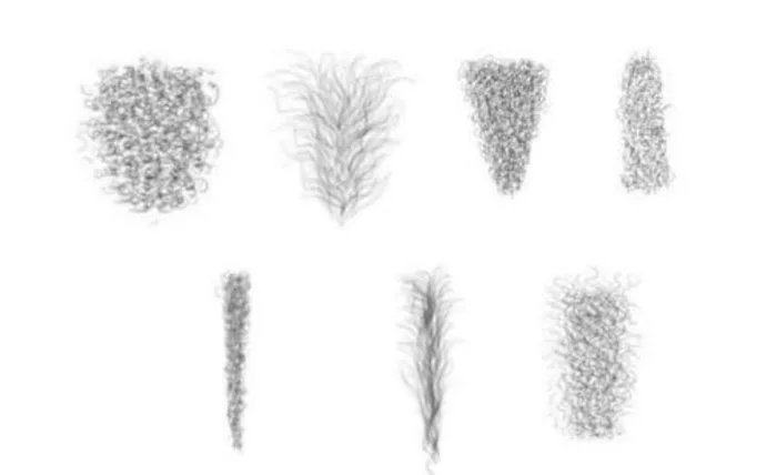 Obrázek These-type-of-grass-are-hardly-seen-in-the-public-1720967049851