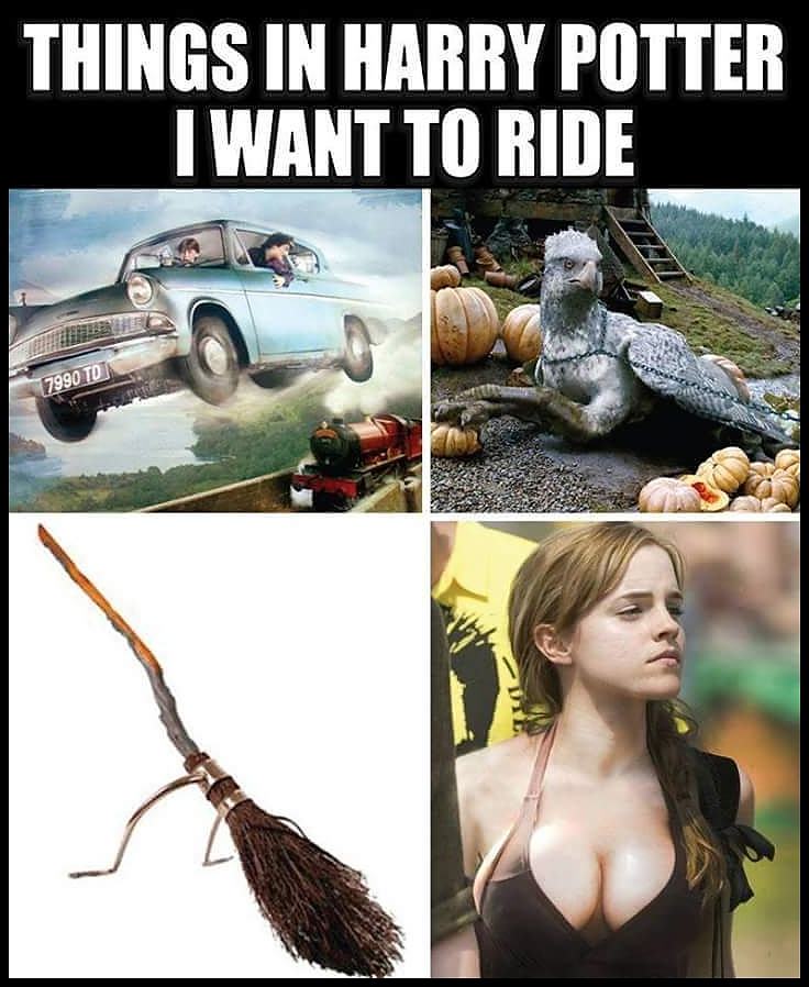 Obrázek Things In Harry Potter I Want To Ride