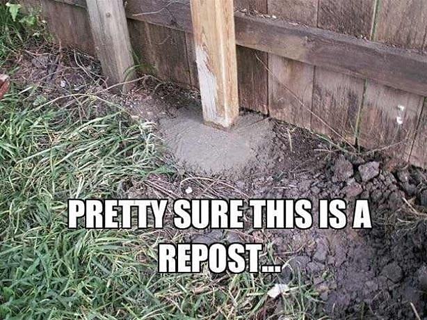Obrázek ThisIsARepost