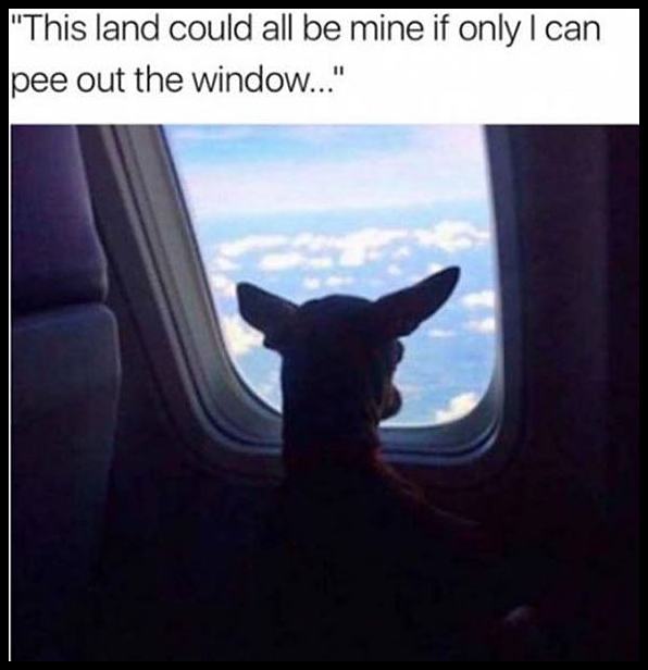 Obrázek This Could All Be Mine   