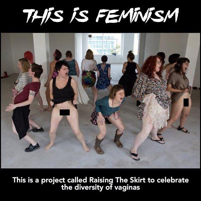 Obrázek This Is Feminism    