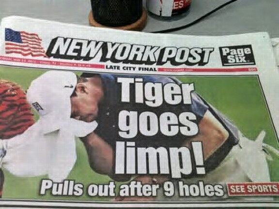 Obrázek Tiger Goes Limp
