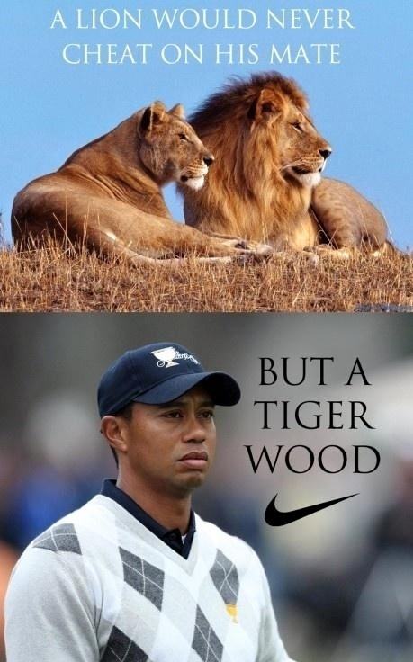 Obrázek Tiger Woods 2