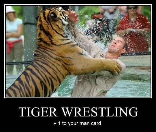 Obrázek Tiger Wrestling - 01-06-2012