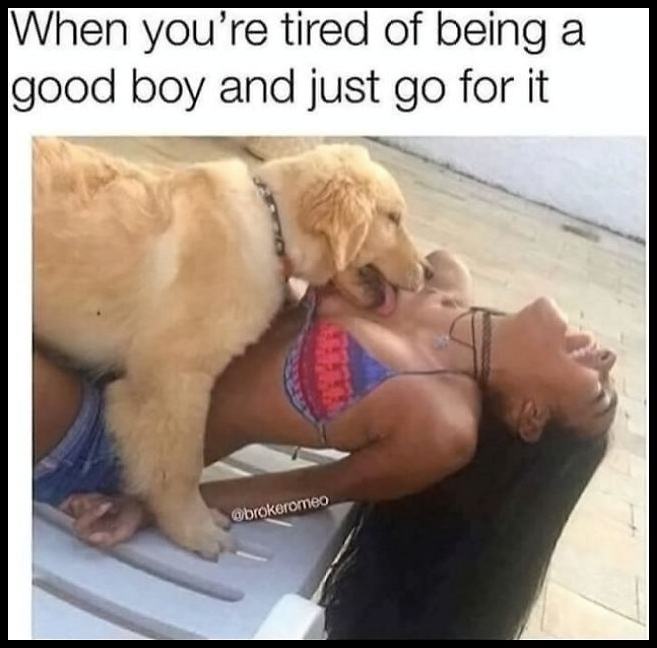 Obrázek Tired Of Being A Good BOY