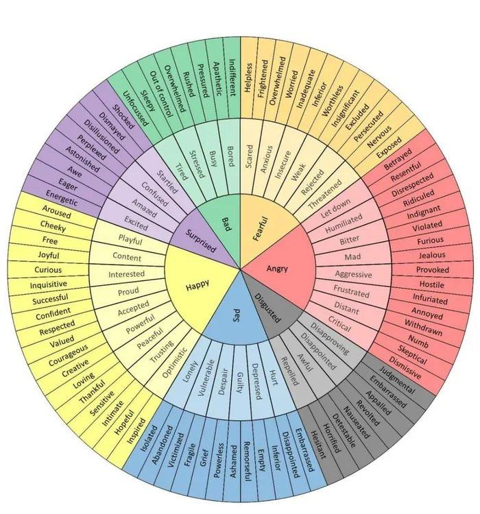Obrázek To-find-the-right-word-The-chart-of-emotions