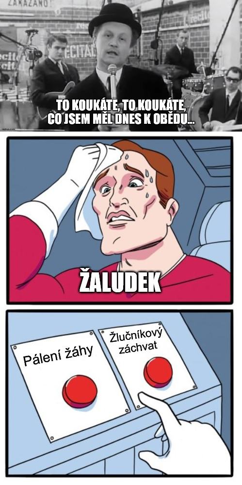 Obrázek To koukate co jsem mel dnes k obedu