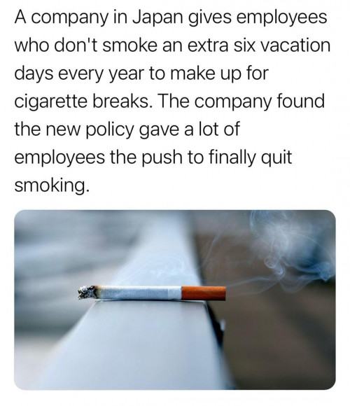 Obrázek Tobacco Holiday