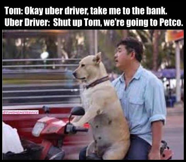 Obrázek Tom-Uber driver