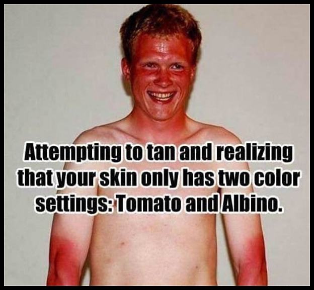 Obrázek Tomato and albino