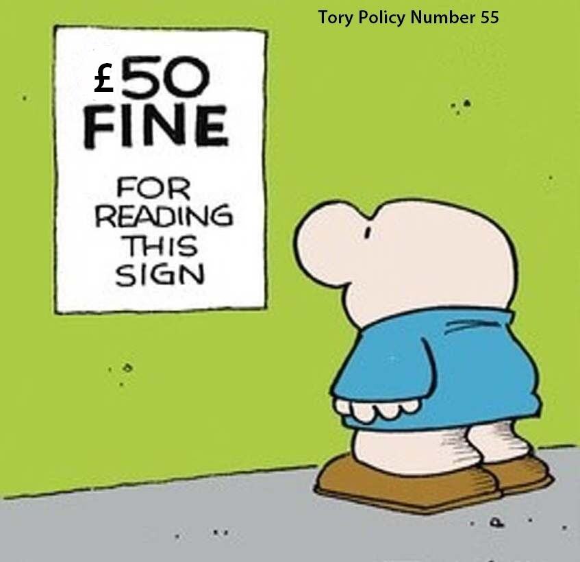 Obrázek Tory Policy Number 55