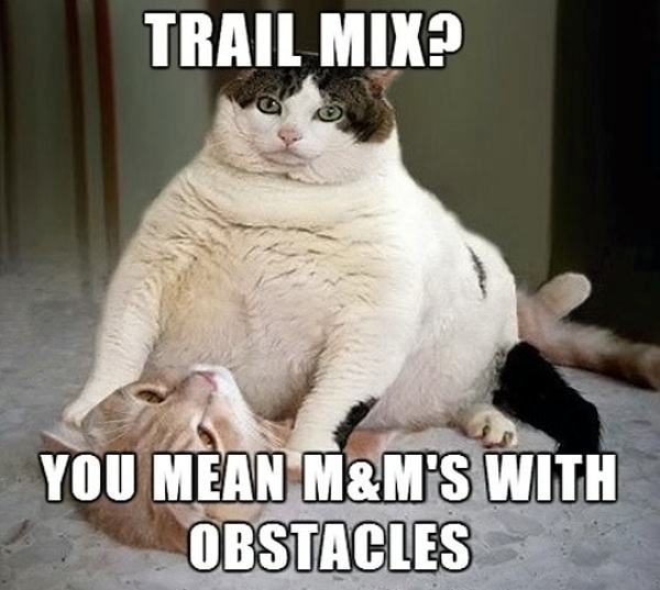 Obrázek Trail Mix