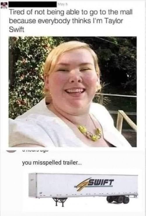 Obrázek Trailer Swift