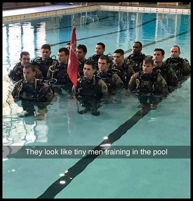 Obrázek TrainingInThePool