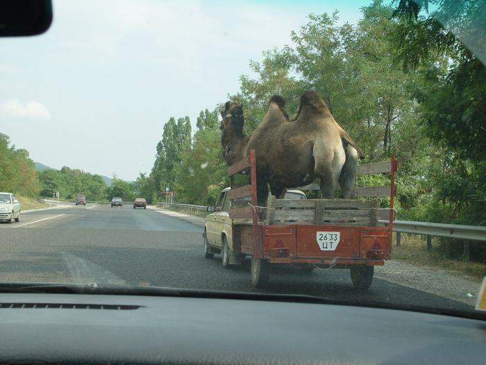 Obrázek Transport 02