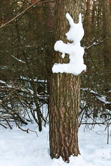 Obrázek Tree 15-02-2012