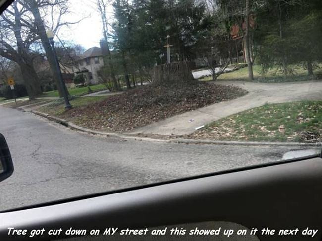 Obrázek Tree&nbsp;Was&nbsp;Cut&nbsp;Down